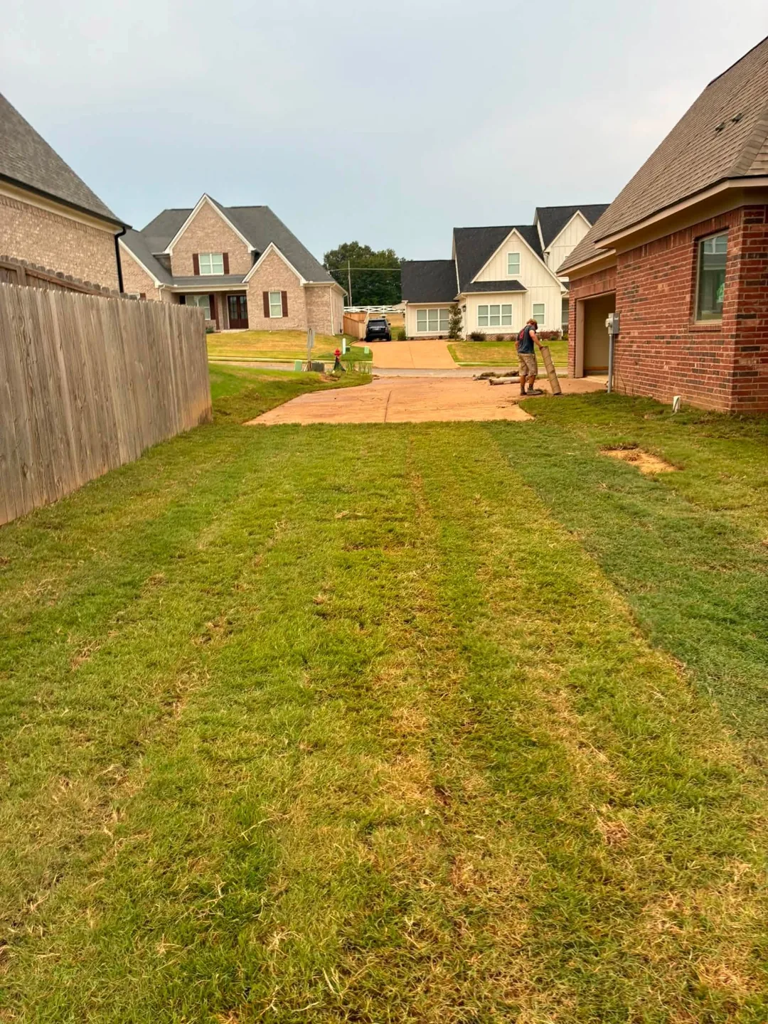 New sod between a wooden fence and a brick home