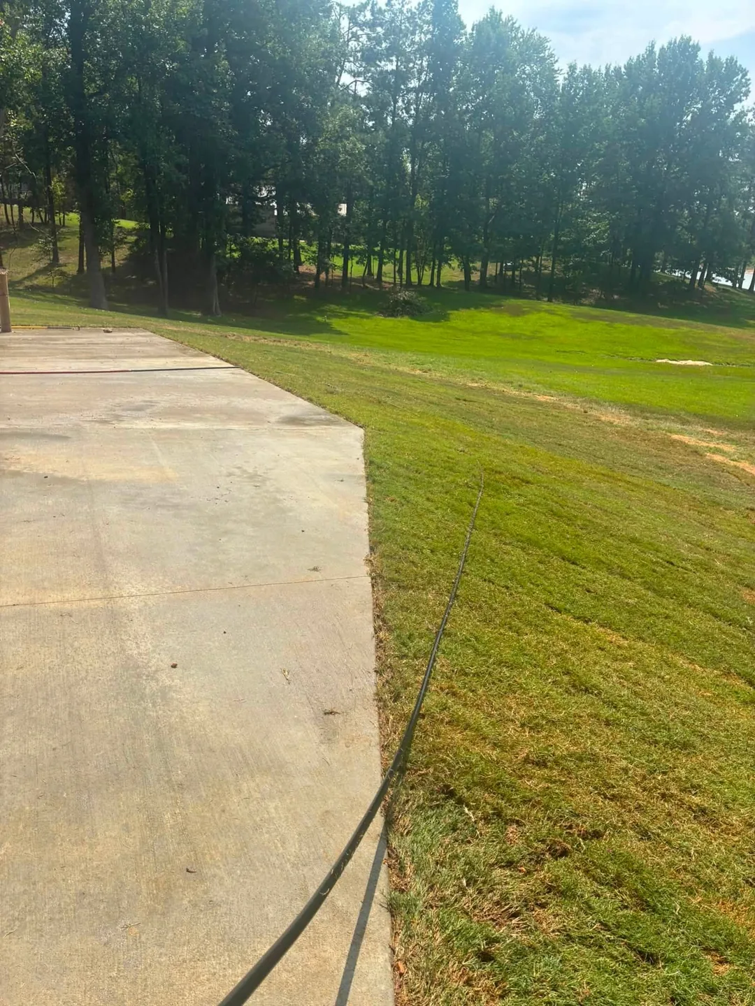 Sod fitted along a curved concrete driveway