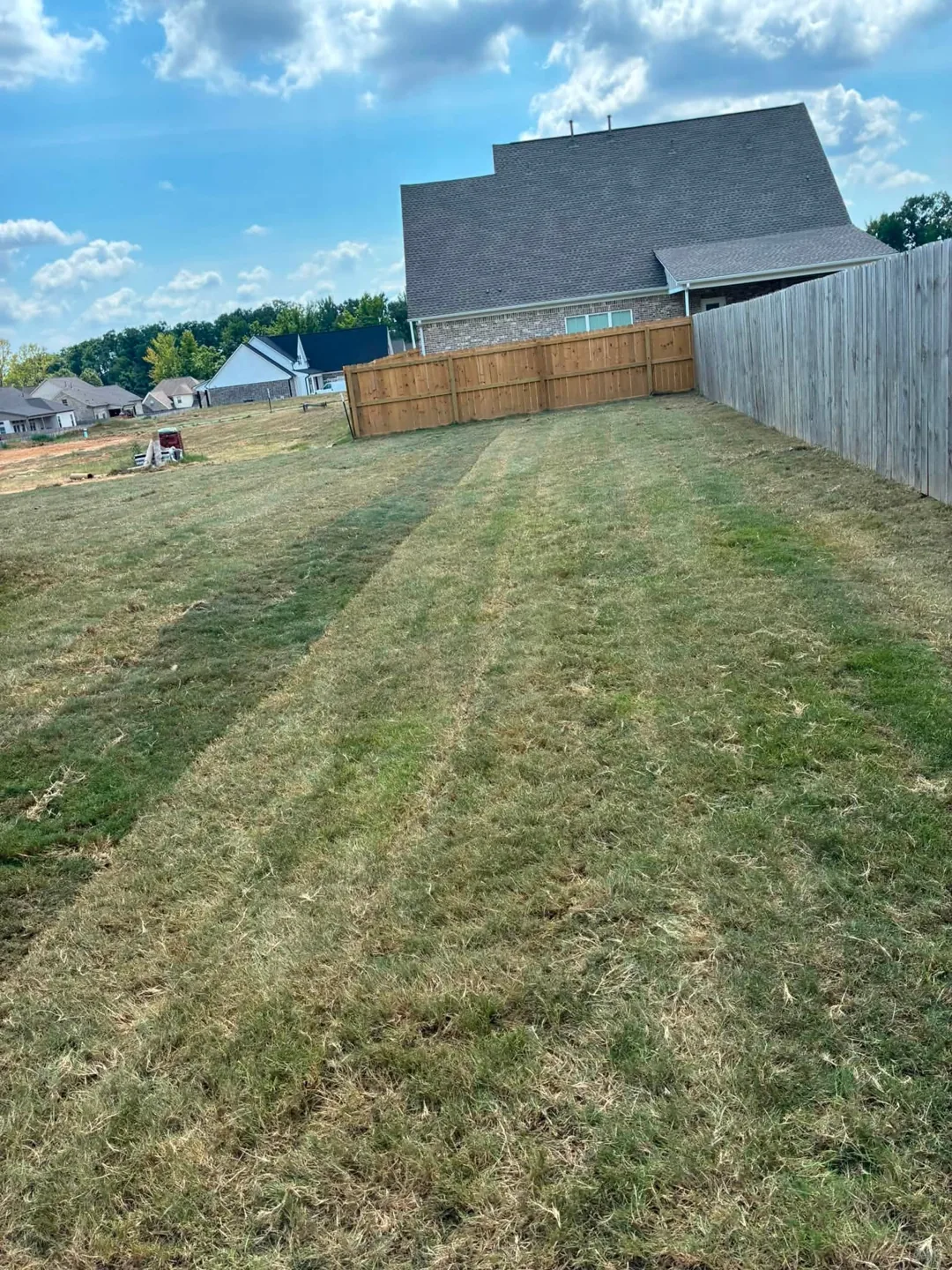 Long sod rows in a backyard enclosed by wooden fencing