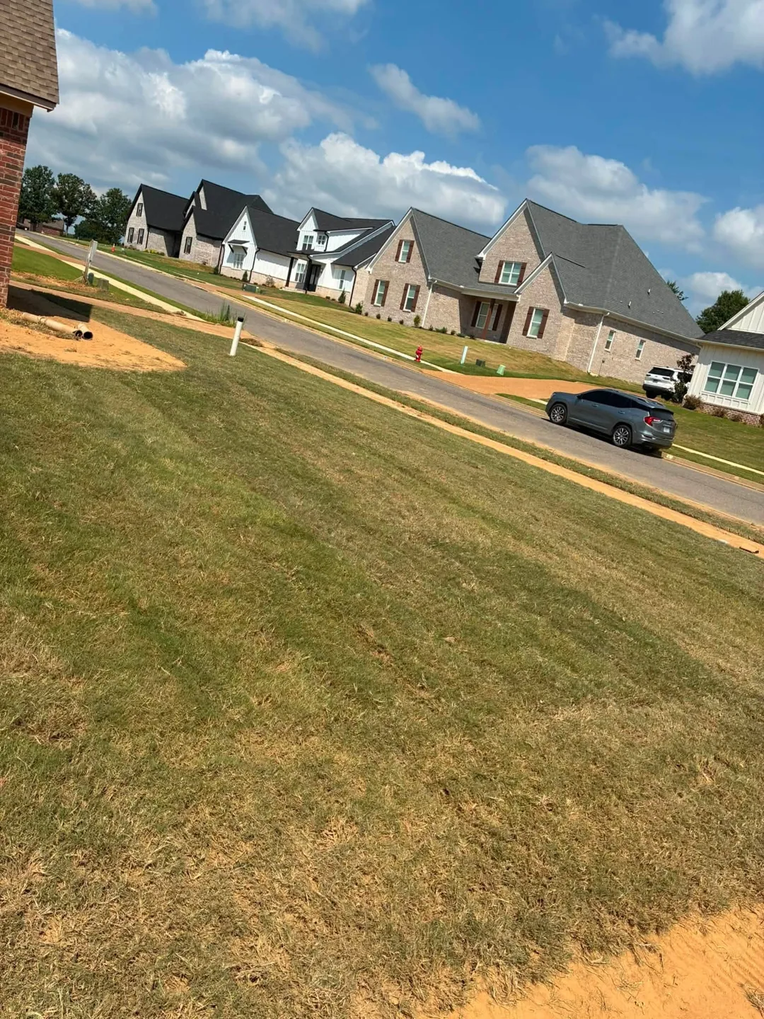 Freshly laid sod facing a street of new homes