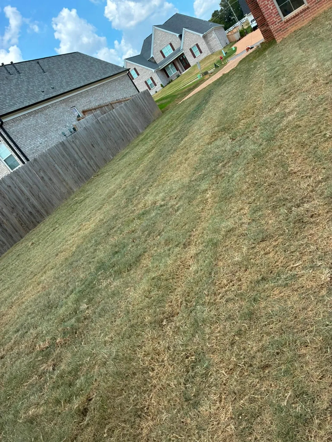 Sod fitted between a wooden fence and the side of a brick home