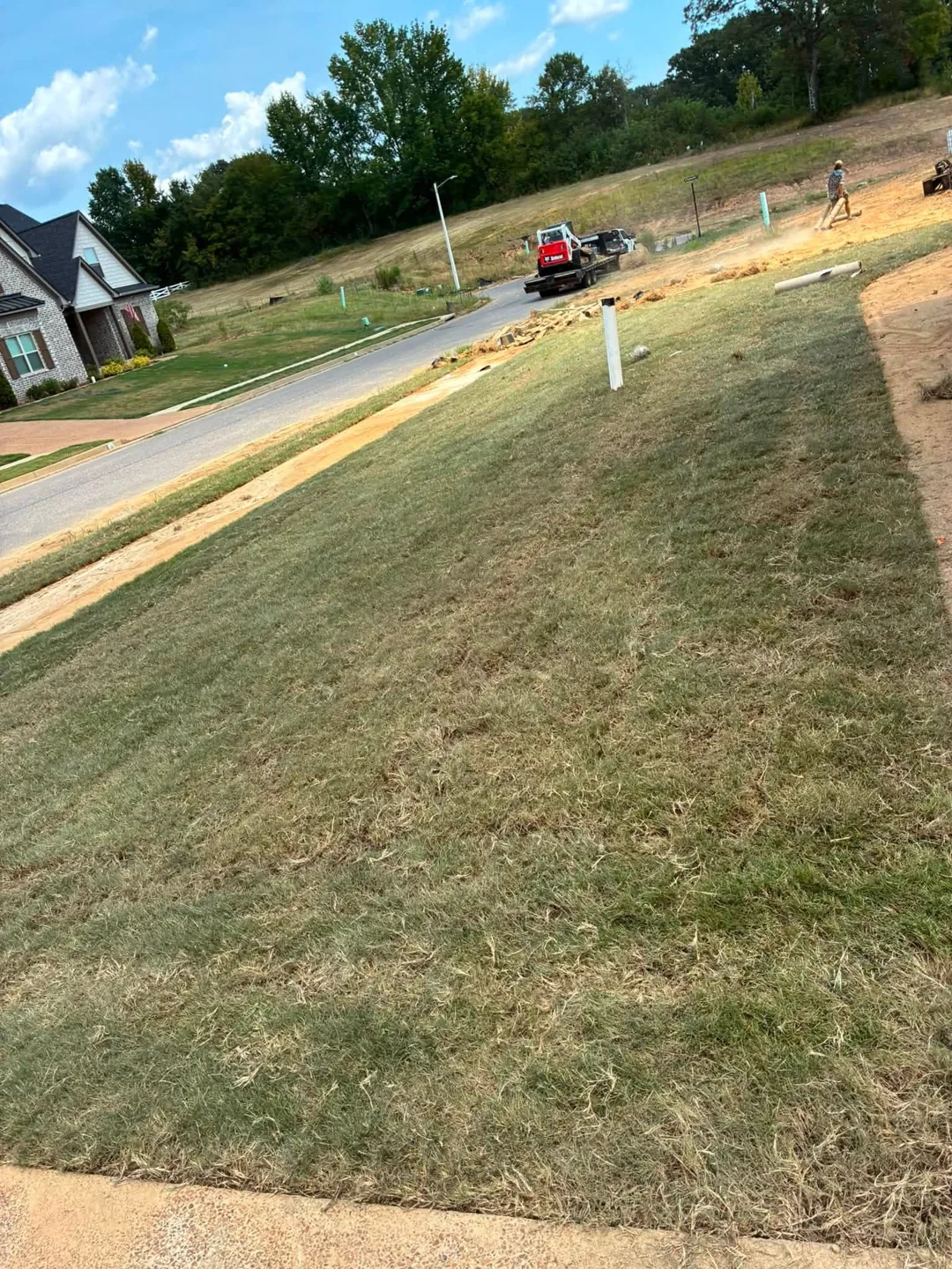 Fresh sod rows along a driveway and residential street