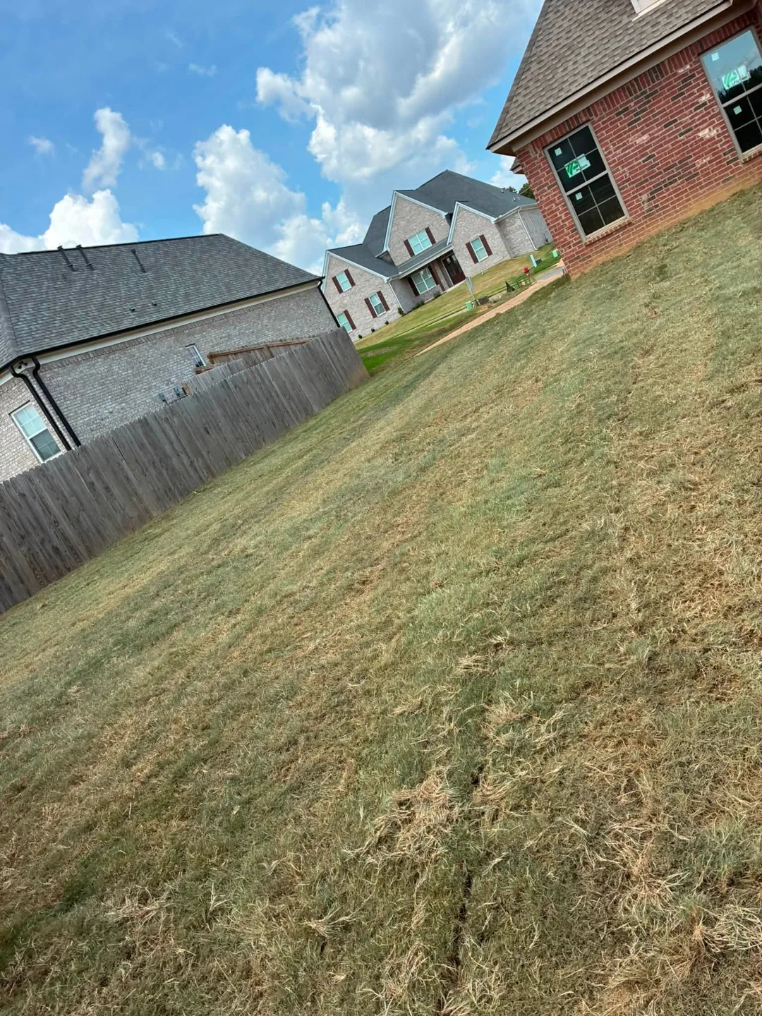 Fresh lawn between a brick home and wooden privacy fence